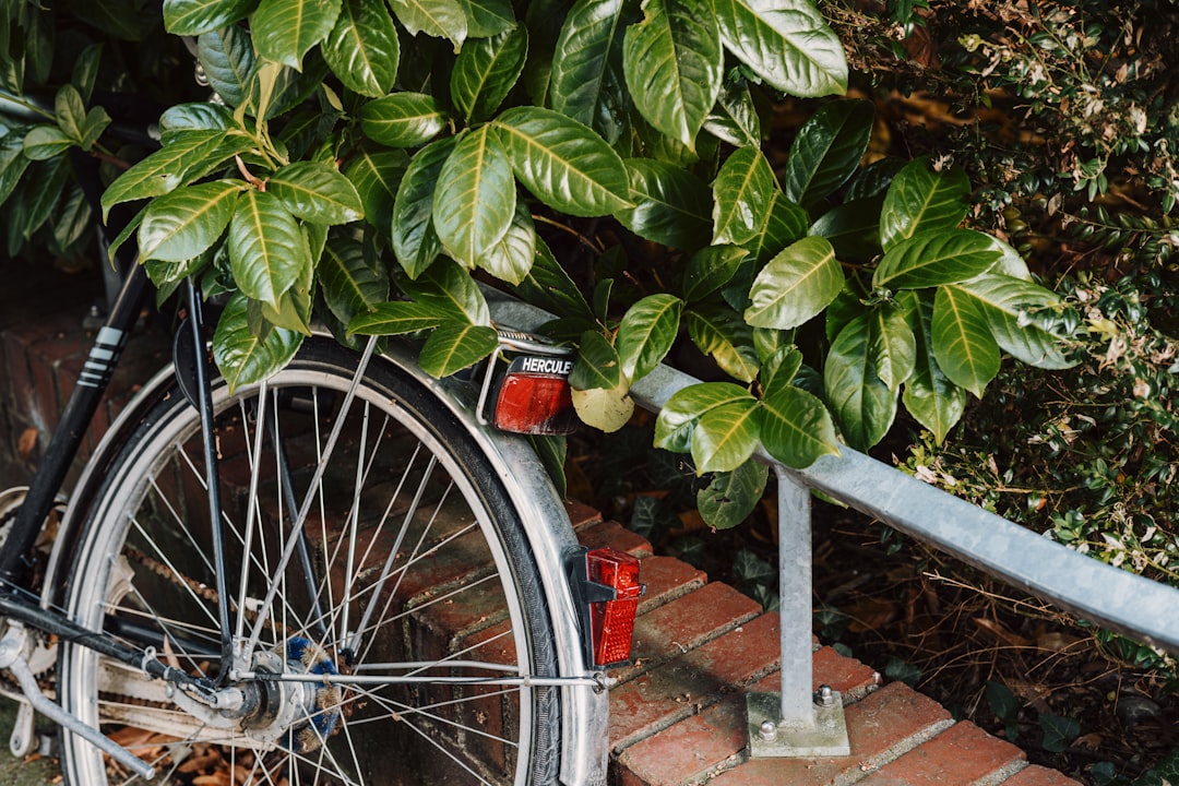 Accessible raised garden bed with wheelchair access and adaptive gardening tools