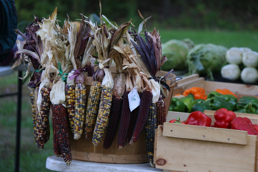 Harvest festival with baskets of fresh vegetables