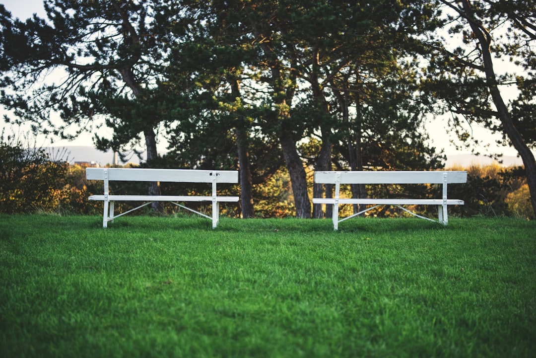 Peaceful garden bench in a quiet seating area surrounded by greenery